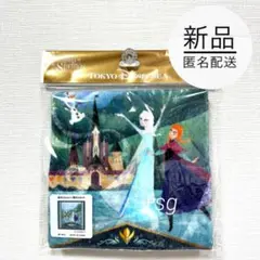 新品★TDR限定品★ウォッシュタオル★アナとエルサのフローズンジャーニー