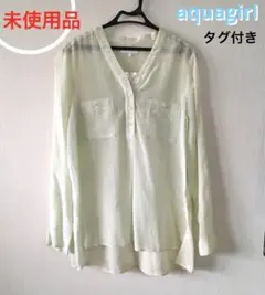 Item thumbnail for item 1fbde2d4-06ff-4b53-bd12-9e71eea2f1ec