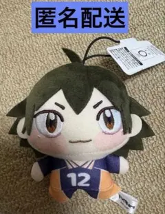 ハイキュー！！ ちょぴぬいぷち③ 山口忠のサムネイル