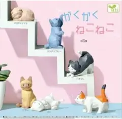 かくかくねこねこ『スコティッシュ』