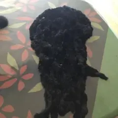 Item thumbnail for item edf659c1-9ec7-45de-803a-5b1007aa6289