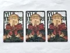 呪術廻戦 全キャラホロクリアカード 虎杖悠仁