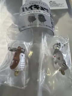 ハイキュー　つながリングチャーム　ボクトフクロウ　アカアシフクロウ　セット