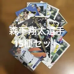 プロ野球チップスカード等森下翔太選手15種まとめセット(キラ7種、ノーマル8種)