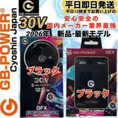 長信ジャパン　国内メーカー　30V 2026年GB430ファンバッテリーゴールド 長信ジャパン 国内メーカー 30V 2026年GB430ファンバッテリーゴールド