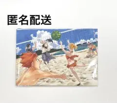【匿名配送】ハイキュー ポストカード 日向 影山 清水 谷地 ファンパーク
