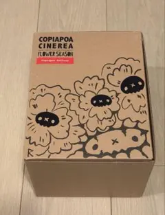COPIAPOA CINEREA FLOWER SEASON
