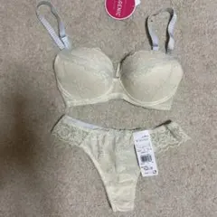 Item thumbnail for item d382245a-b870-48a0-9caa-69bb66e173cd