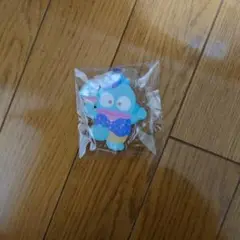 サンリオキャラクター大賞2024 キーホルダー ハンギョドン