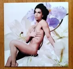 LP] Vanity 6 / セクシー・ハリケーン Prince Family - メルカリ
