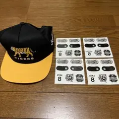 Item thumbnail for item c3b946ef-fbd4-47f4-bbc4-24c9c79b5345