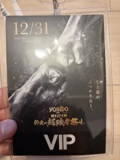 RIZIN 師走の超強者祭り　VIP