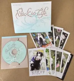 &TEAM Back to Life Mini CD-R ver.