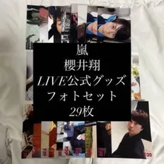 嵐 櫻井翔 フォトセット 29枚