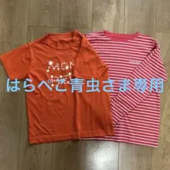 モンベルTシャツ　140 半袖長袖Tシャツセット