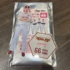 東北楽天イーグルス 今野龍太
