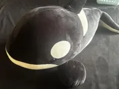 シャチくじ　特賞　特等　ぬいぐるみ　名古屋港水族館　100cmのサムネイル