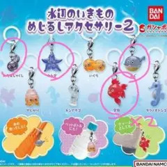 Item thumbnail for item 7fc1e403-f935-4c4c-a9d5-265fc04ea512