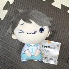 及川徹　もちぴこぬいぐるみ　ハイキュー!!