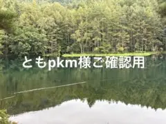 ともpkm様ご確認用②