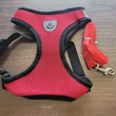 レッド メッシュハーネス Lサイズとリード