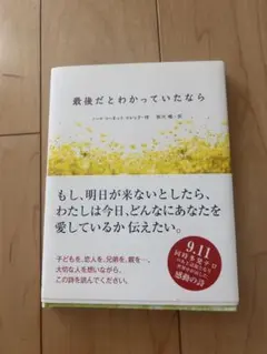 美品　　最後だとわかっていたなら