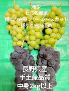 希少　わら敷種あり完熟巨峰 長野県産お得４Kg 希少わら敷栽培種あり完熟巨峰 贈答品質 長野県産中身2kg以上 - メルカリ