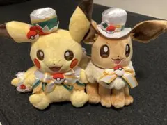 ピカチュウ イーブイ ぬいぐるみ ポケパーク カントー 限定 ピカブイ