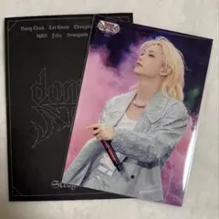 straykids スキズ dominATE VR ラントレ フィリックス