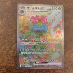 2026年最新】メガフシギバナexの人気アイテム - メルカリ