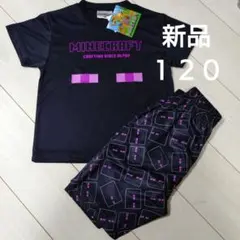 新品☆Minecraft マイクラ エンダーマン セットアップ ブラック 120