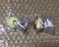 吸血鬼すぐ死ぬ