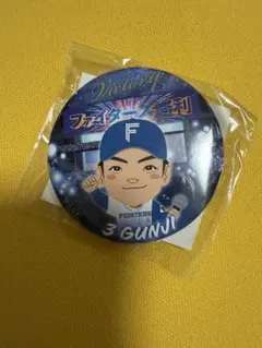 ファイターズガチャ　勝利　郡司裕也