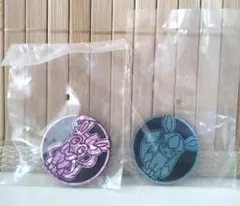 ポケモンコインコレクション ニンフィア グレイシア 2点セット売り