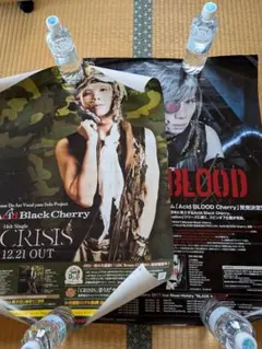 2026年最新】acid black cherry ポスターの人気アイテム - メルカリ