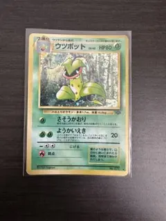 ウツボット 旧裏