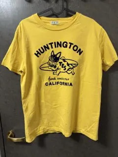 エンドレスサマー TES Tシャツ 美品のサムネイル
