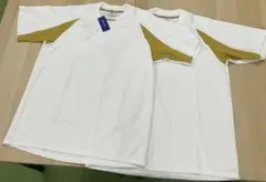 Item thumbnail for item b57122b7-1d87-4a0c-b786-c40de88cc2aa