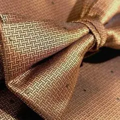 ◆蝶ネクタイ　チーフ　ブラウン　披露宴　挙式　新郎　新郎　結婚式 Grn