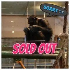 売り切れのサムネイル