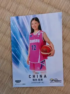 Item thumbnail for item 86c36566-9574-45e6-90d0-90734e8c67a7