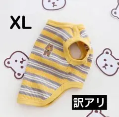 Item thumbnail for item 4737dba3-e8bc-43e7-a9af-794836e9eb44