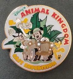 2026年最新】WDW キャスト ピンの人気アイテム - メルカリ