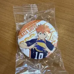 日向翔陽 缶バッジ 10