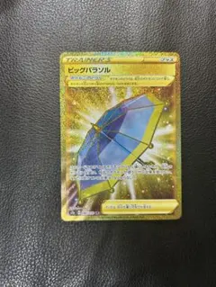 Item thumbnail for item 419a3f2d-a8d2-44bb-a796-98b5410d2934