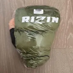 Item thumbnail for item 06299ea4-8bd9-4015-8be1-0e0d49571a82