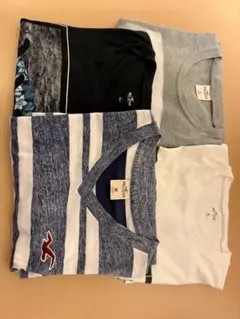 Hollister Tシャツ Mサイズ 複数枚セット