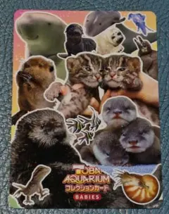 鳥羽水族館　コレクションカードvol.2 とばすい赤ちゃん大集合！ 鳥羽水族館 コレクションカード vol.2 とばすい赤ちゃん大集合