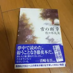佐々木丸美　恋愛・ミステリー小説　９冊 佐々木丸美 恋愛・ミステリー小説 9冊 佐々木丸美 恋愛