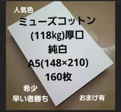ミューズコットン(118㎏)厚口、純白 A5、 160枚ラスト商品早い者勝ち‼️